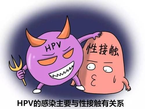 计算机病毒不可能侵入_病毒侵入计算机系统_计算机病毒是指能够侵入计算机