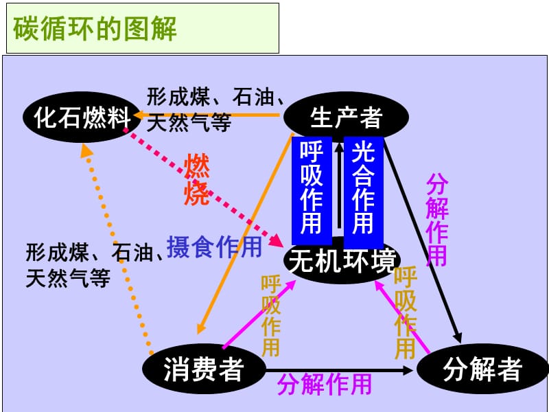 ecosystem diagram_ecosystem diagram_ecosystem diagram