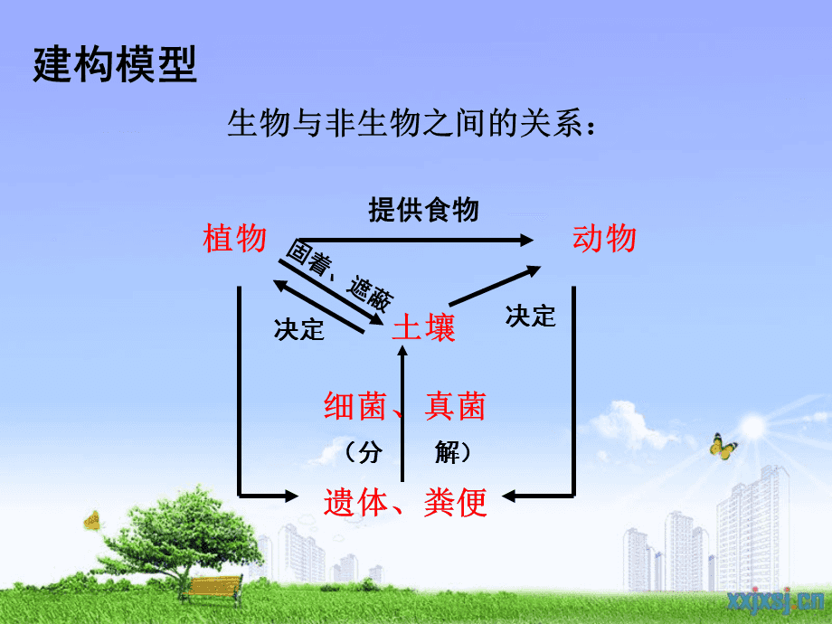 ecosystem diagram_ecosystem diagram_ecosystem diagram