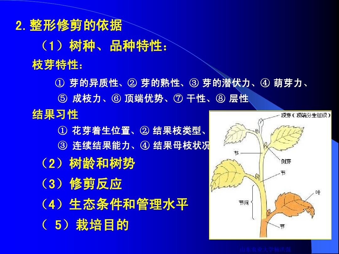 ecosystem diagram_ecosystem diagram_ecosystem diagram