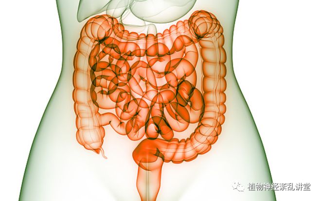 胃疼的症状_胃疼的症状和种类_胃疼症状判断与处理