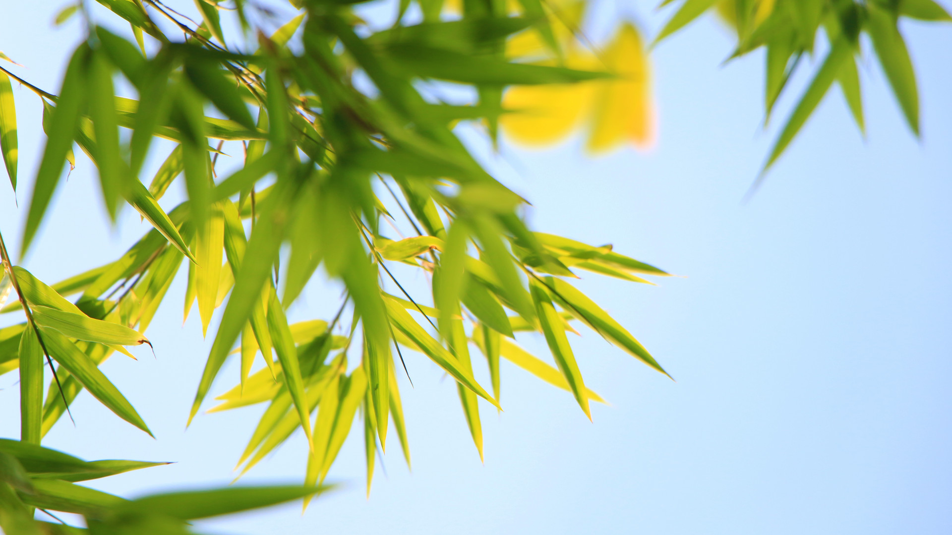 朝阳妇科医院咨询免费咨询_朝阳妇科医院三间房分院_朝阳三间房妇科医院