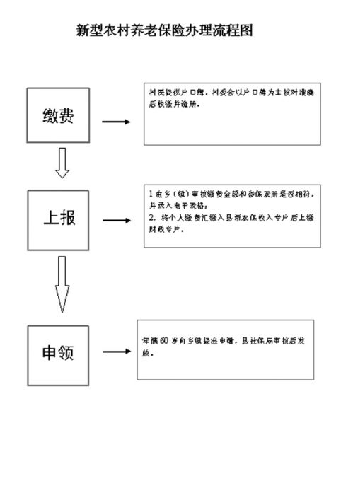 新型农村社会养老保险管理系统系统登录网址,新型农村社会养老保险管理系统登录网址详解