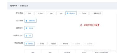 新浪云平台 nodejs,深入解析新浪云平台上的Node.js应用开发