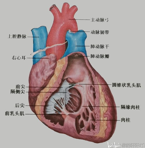 TOS系统解剖学,什么是TOS系统