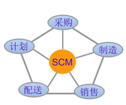 SCM系统人群,企业供应链管理的得力助手