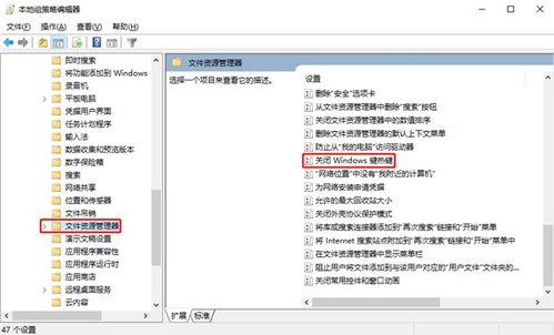 windows7系统禁用快捷键,Windows 7系统禁用快捷键的详细指南