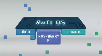 ruff系统,引领Python代码质量革命的新锐工具