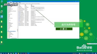 windows7系统机器序列号,获取、使用与注意事项