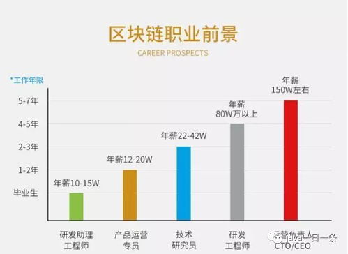 加密货币挑战100w,揭秘加密货币市场的巅峰对决