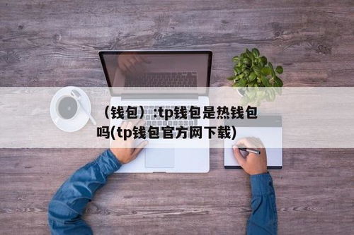 Usdt冷钱包热钱包,安全与便捷的平衡之道