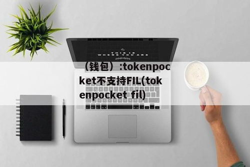 tokenpocket连接不上钱包,TokenPocket钱包连接故障排查指南