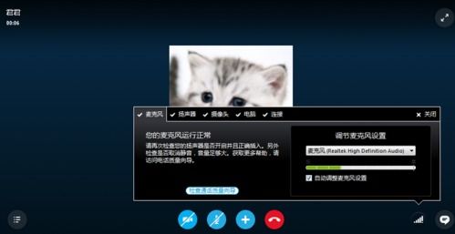 skype有图无声音,Skype神秘静默时刻揭秘