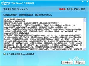 skype怎么一直隐身,实现持续隐身的操作指南