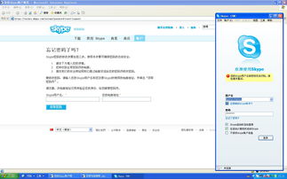 skype注册使用用户名和密码是什么意思,掌握用户名与密码的重要性