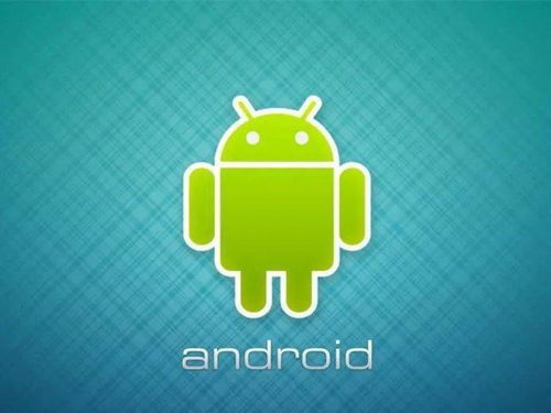 安卓系统哪些是必要应用,Android系统核心必要应用解析与功能概述