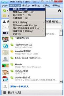 Skype远程输入,跨越时空的便捷沟通新体验