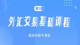 加密货币新手入门教学,从入门到实践全解析