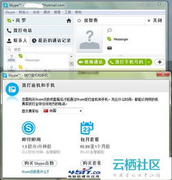 skype只显示头像,轻松识别联系人