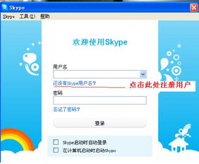 skype用外国电话登录吗,如何使用外国电话号码登录Skype