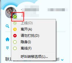 skype状态什么意思,不同状态含义及使用场景速览