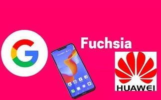 所有安卓设备刷fuchsia系统,迈向跨平台融合的未来”