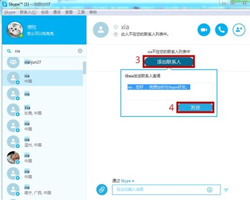 skype在线聊天工具,跨越时空的沟通桥梁