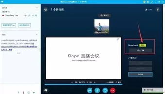 skype怎么进行会议,高效会议无忧