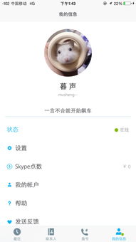 skype找不到账号,寻找失联的通讯桥梁